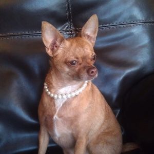 Meet your Posher, Yolanda